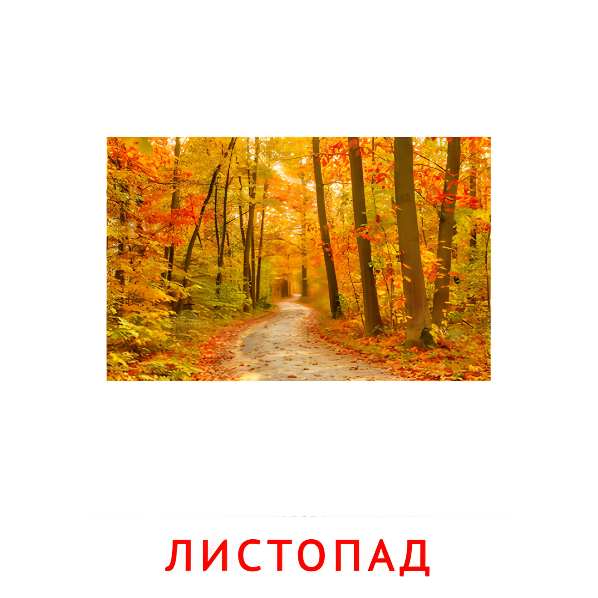 Листопад №2186. Карточки Домана на русском языке. Явления природы.