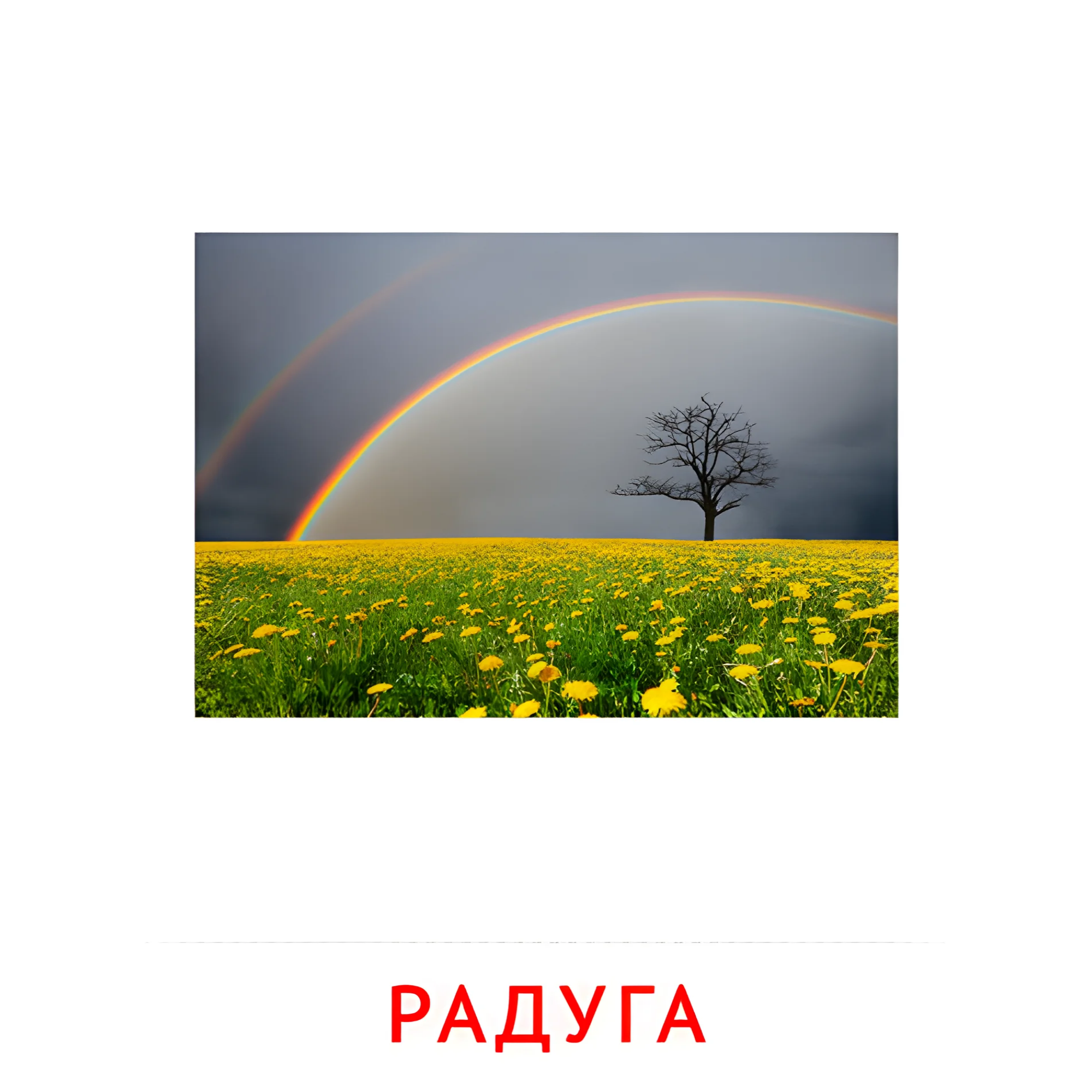 Радуга №2182. Карточки Домана на русском языке. Явления природы.