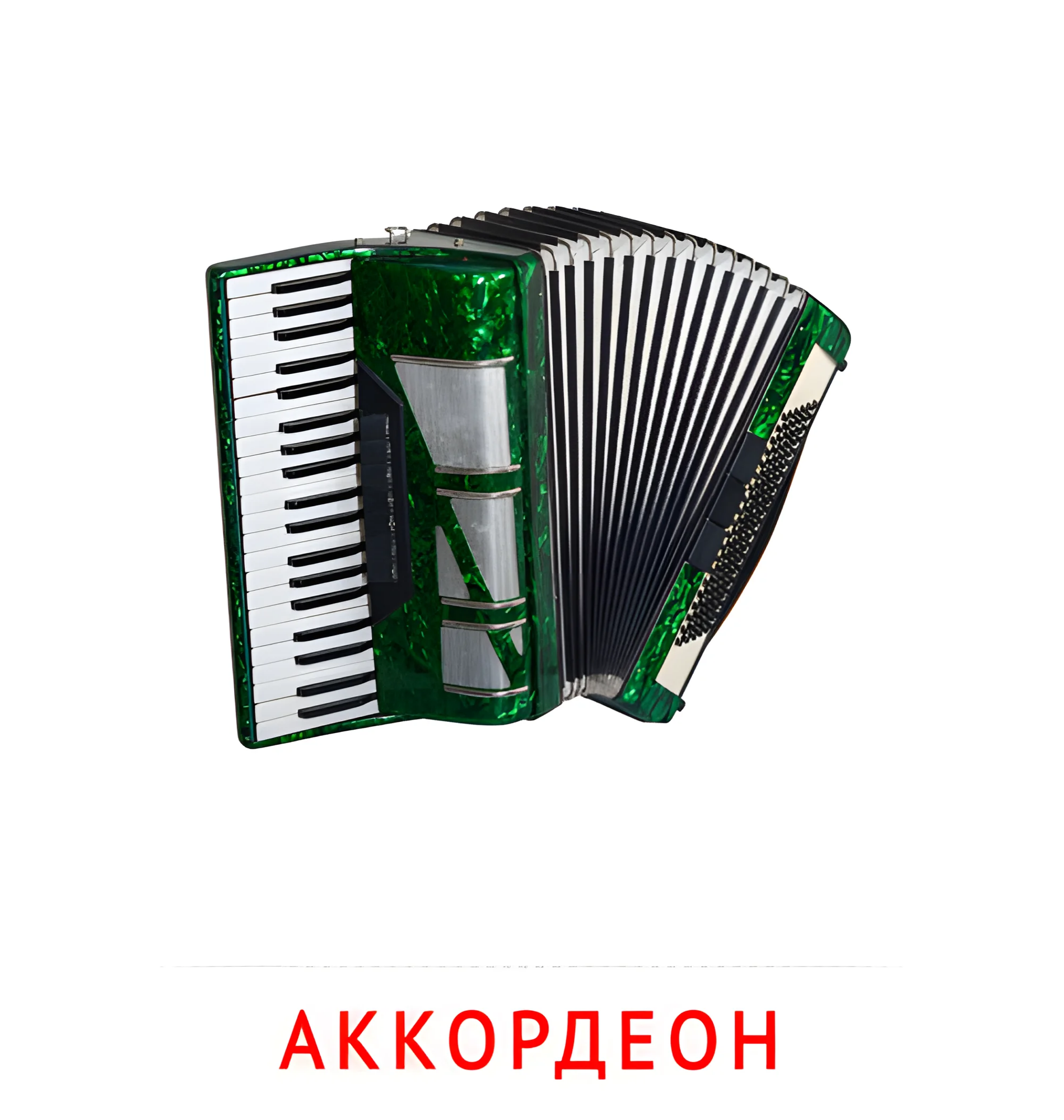 Аккордеон №2559. Карточки Домана на русском языке. Музыкальные инструменты.