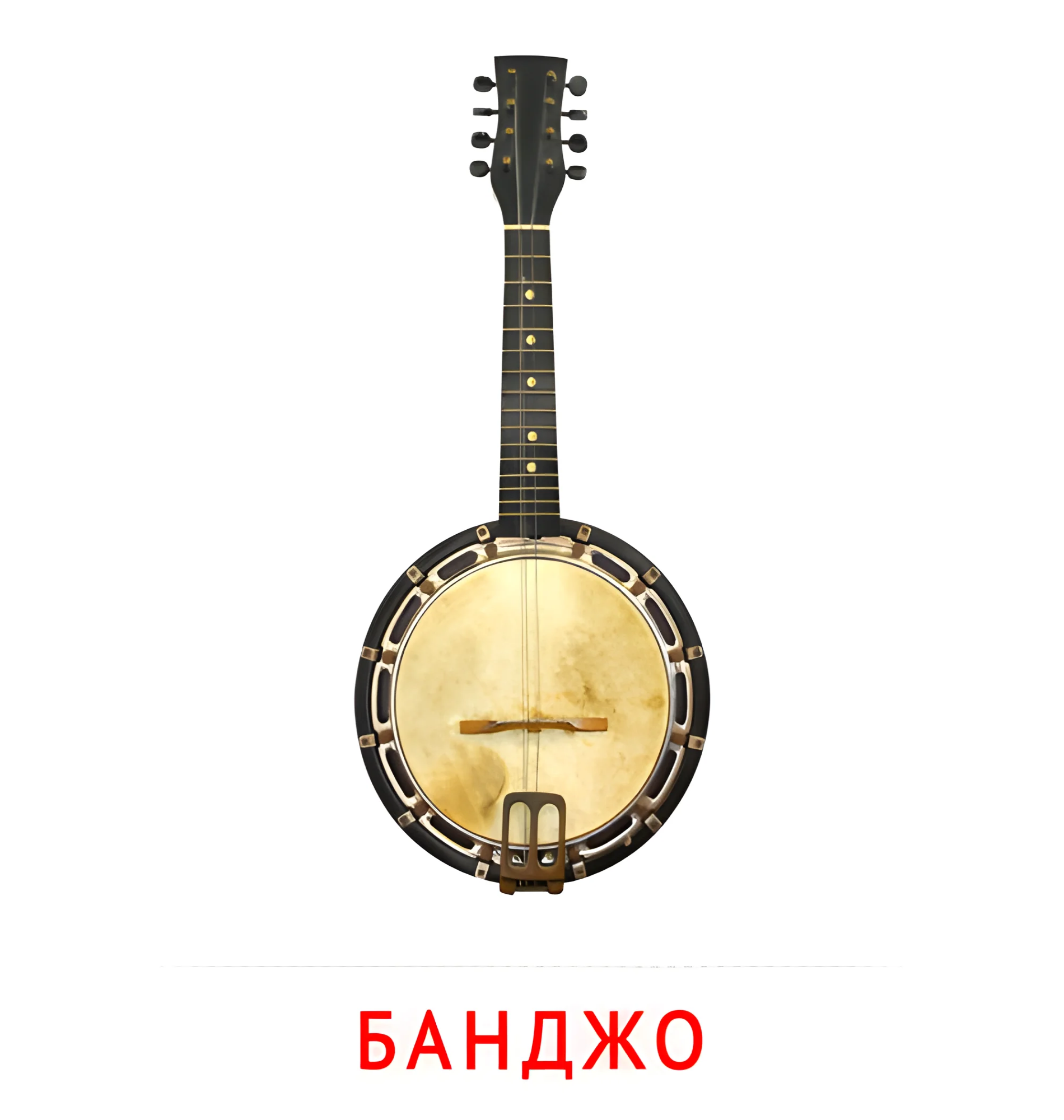 Банджо №2569. Карточки Домана на русском языке. Музыкальные инструменты.