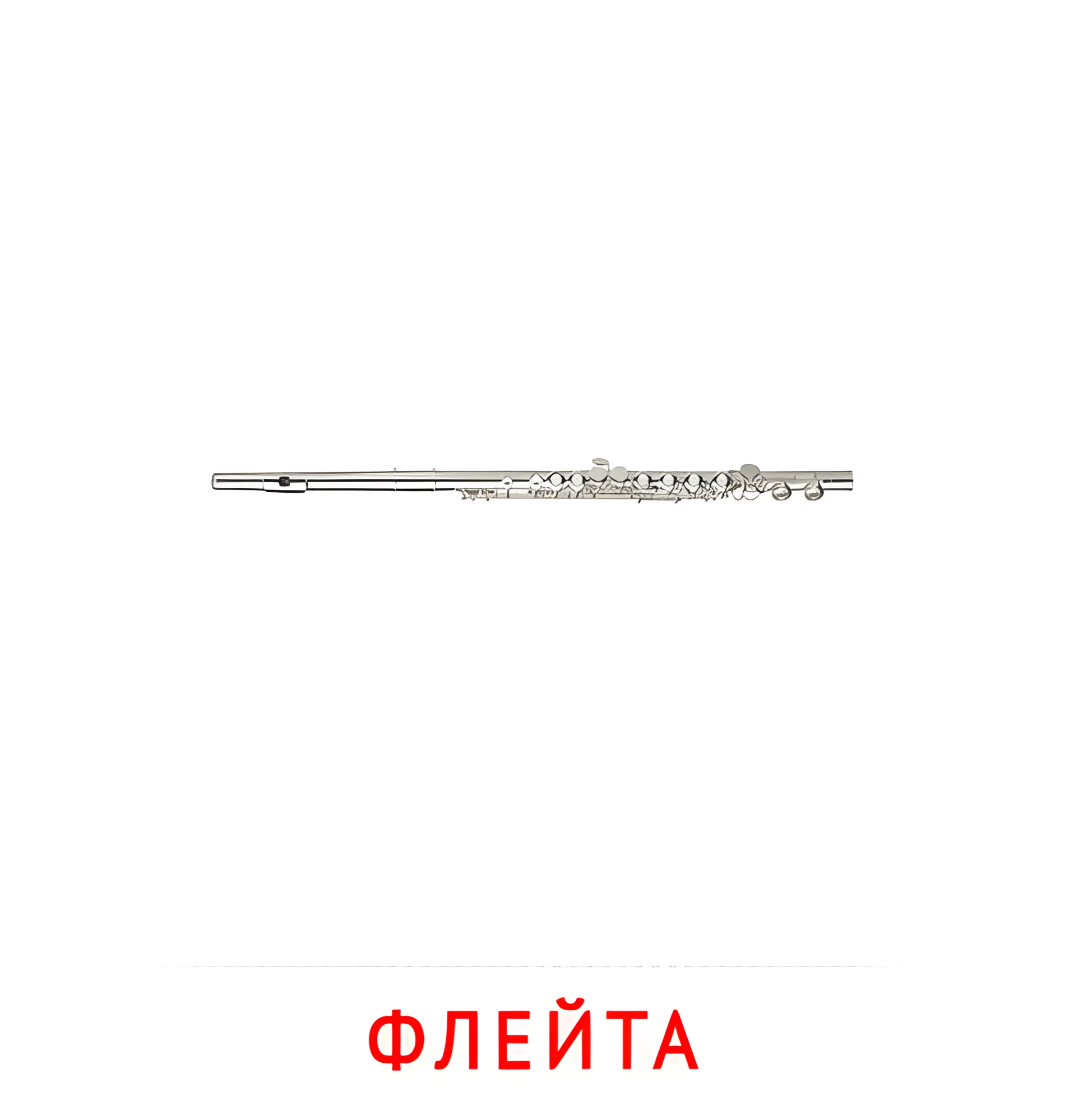 Флейта №2576. Карточки Домана на русском языке. Музыкальные инструменты.
