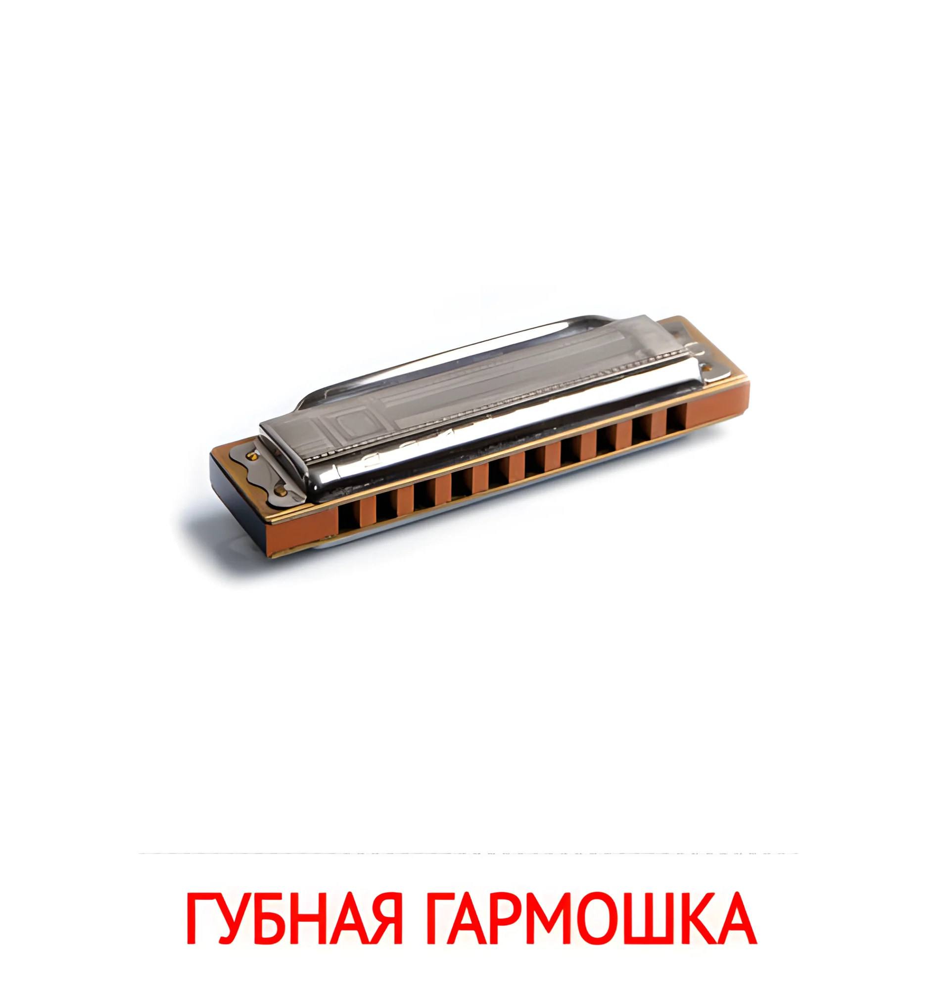 Губная гармошка №2571. Карточки Домана на русском языке. Музыкальные инструменты.