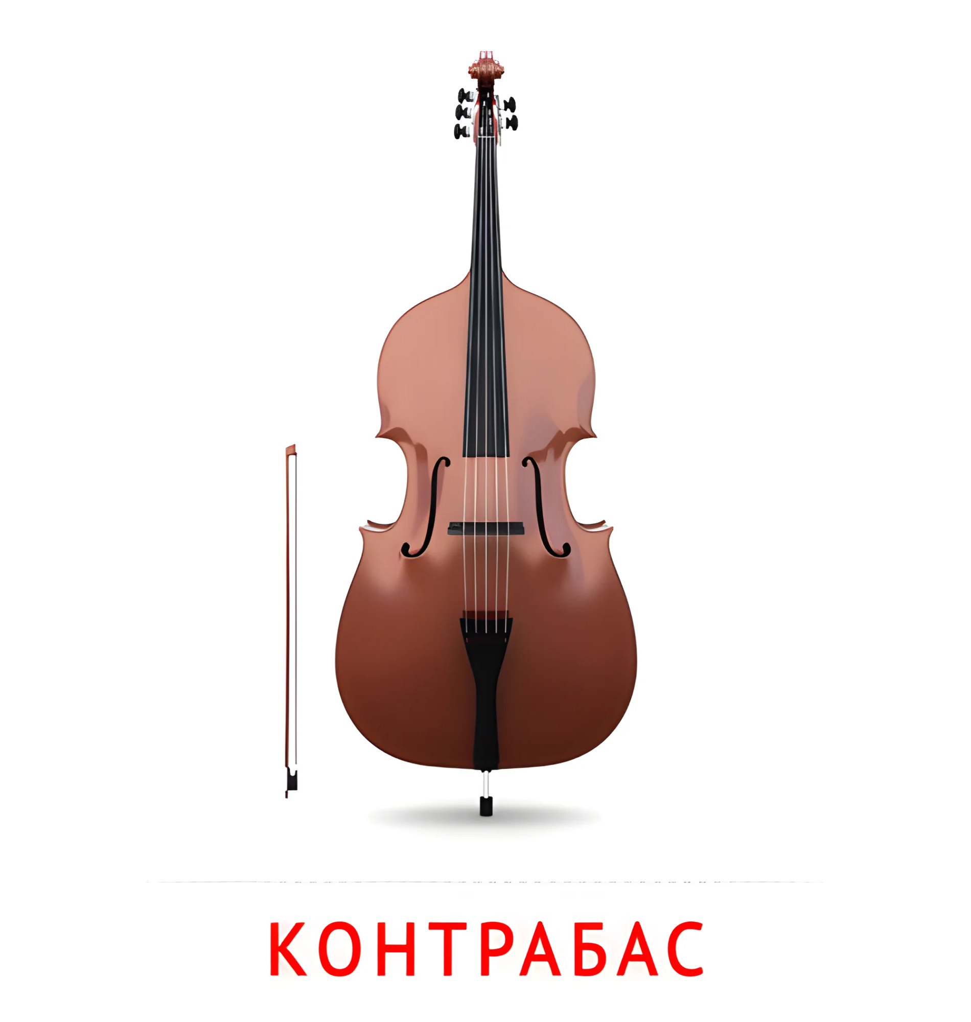 Контрабас №2557. Карточки Домана на русском языке. Музыкальные инструменты.