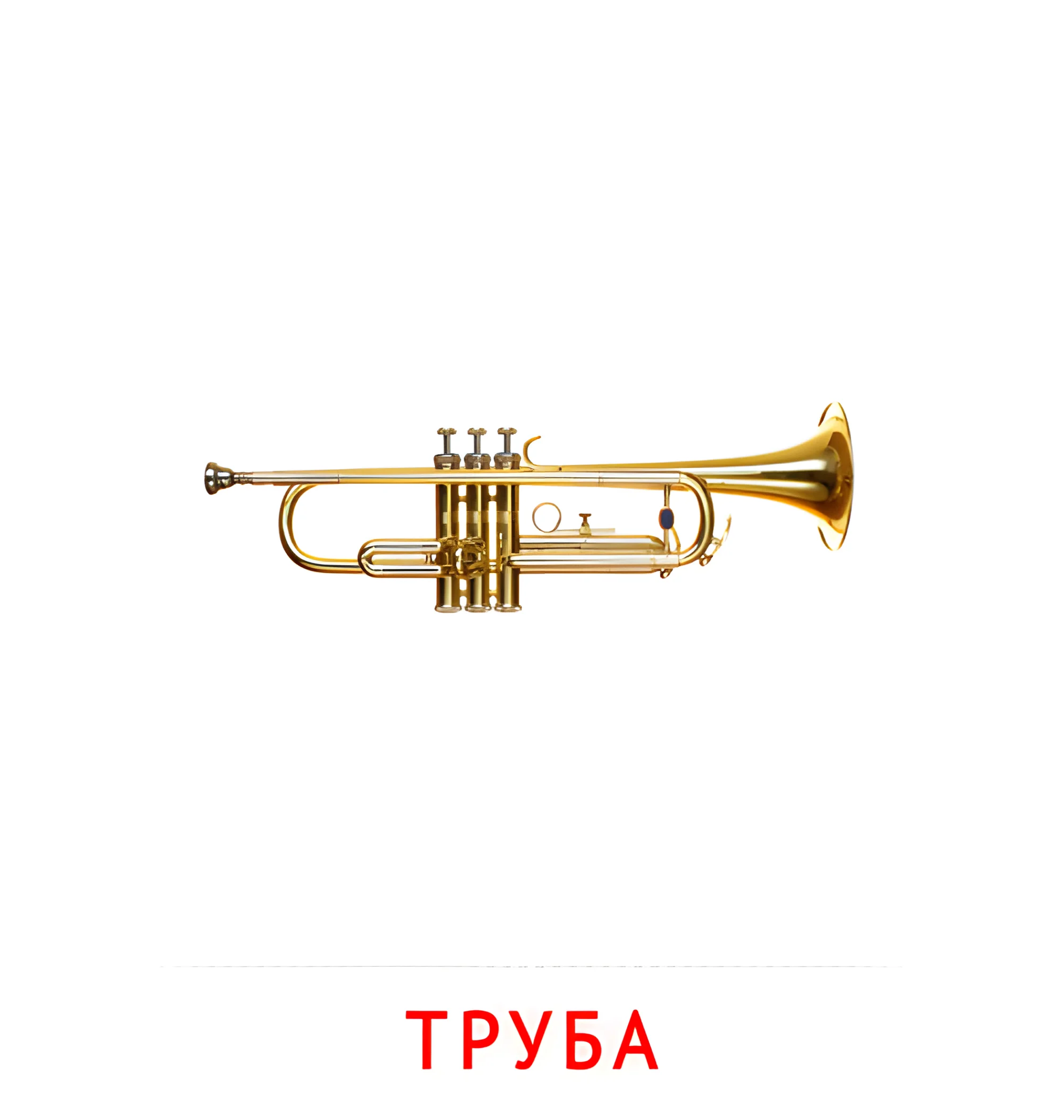 Труба №2563. Карточки Домана на русском языке. Музыкальные инструменты.