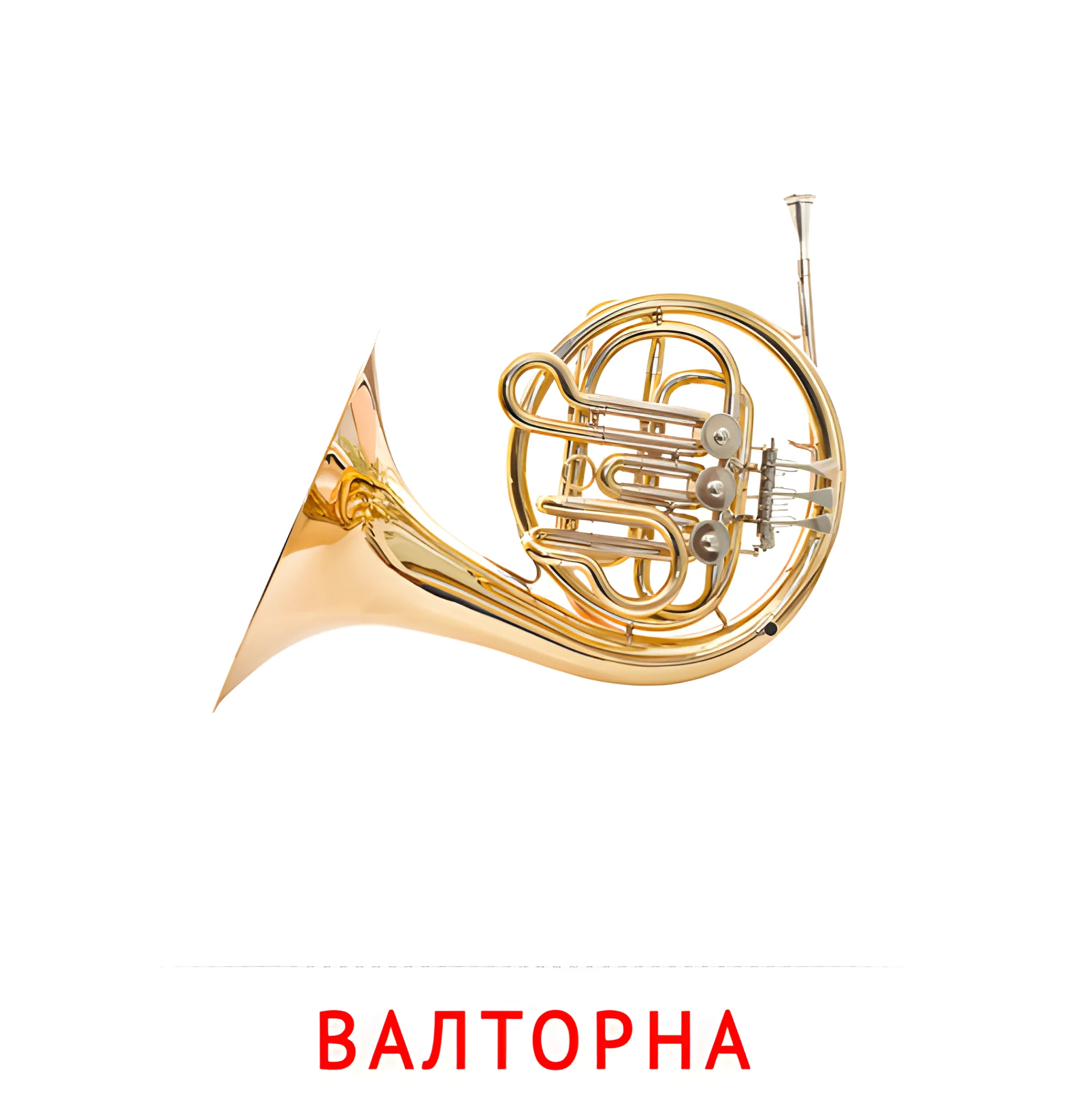 Валторна №2561. Карточки Домана на русском языке. Музыкальные инструменты.