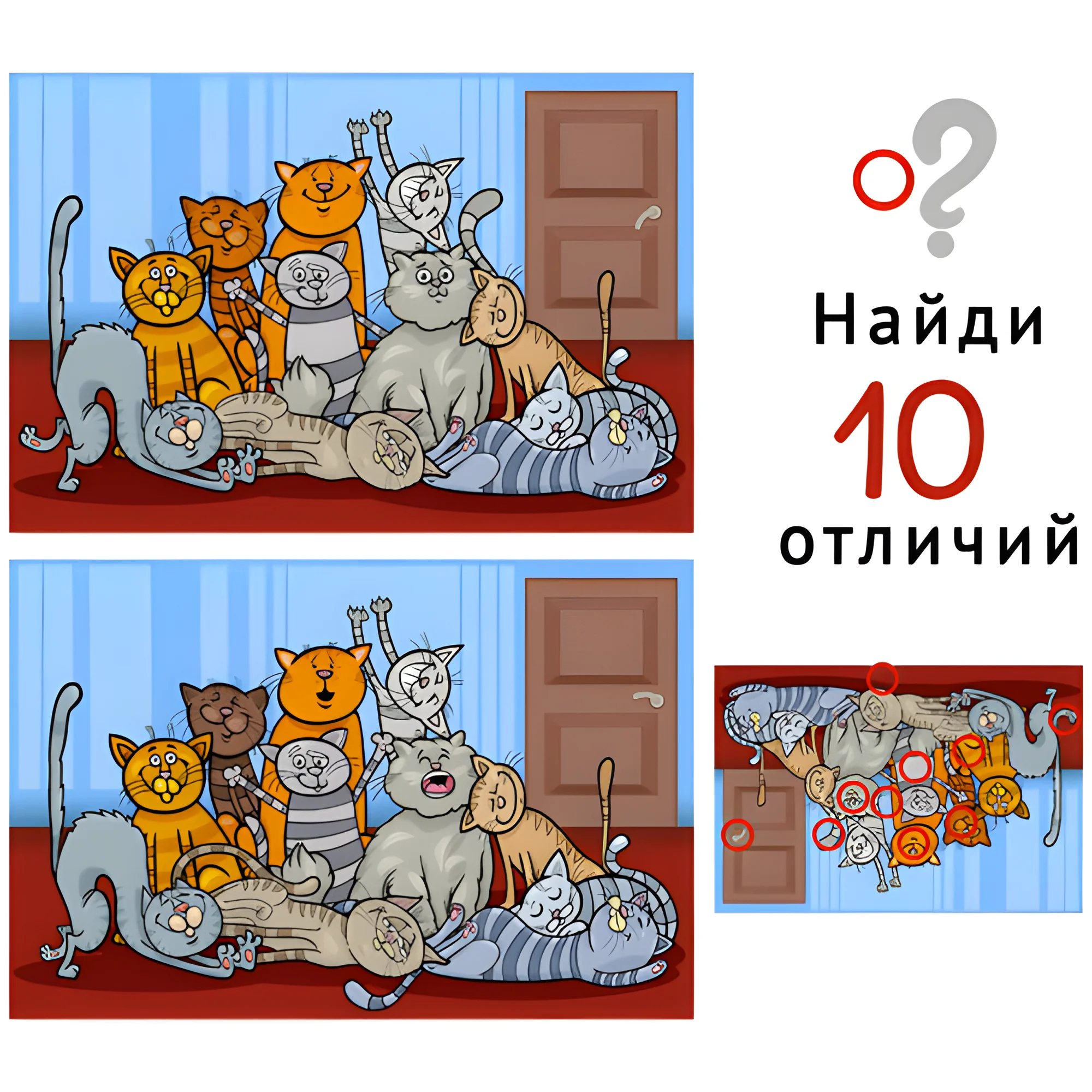 Коты №1798. Задания на логику. Найди отличия, подумай логически.
