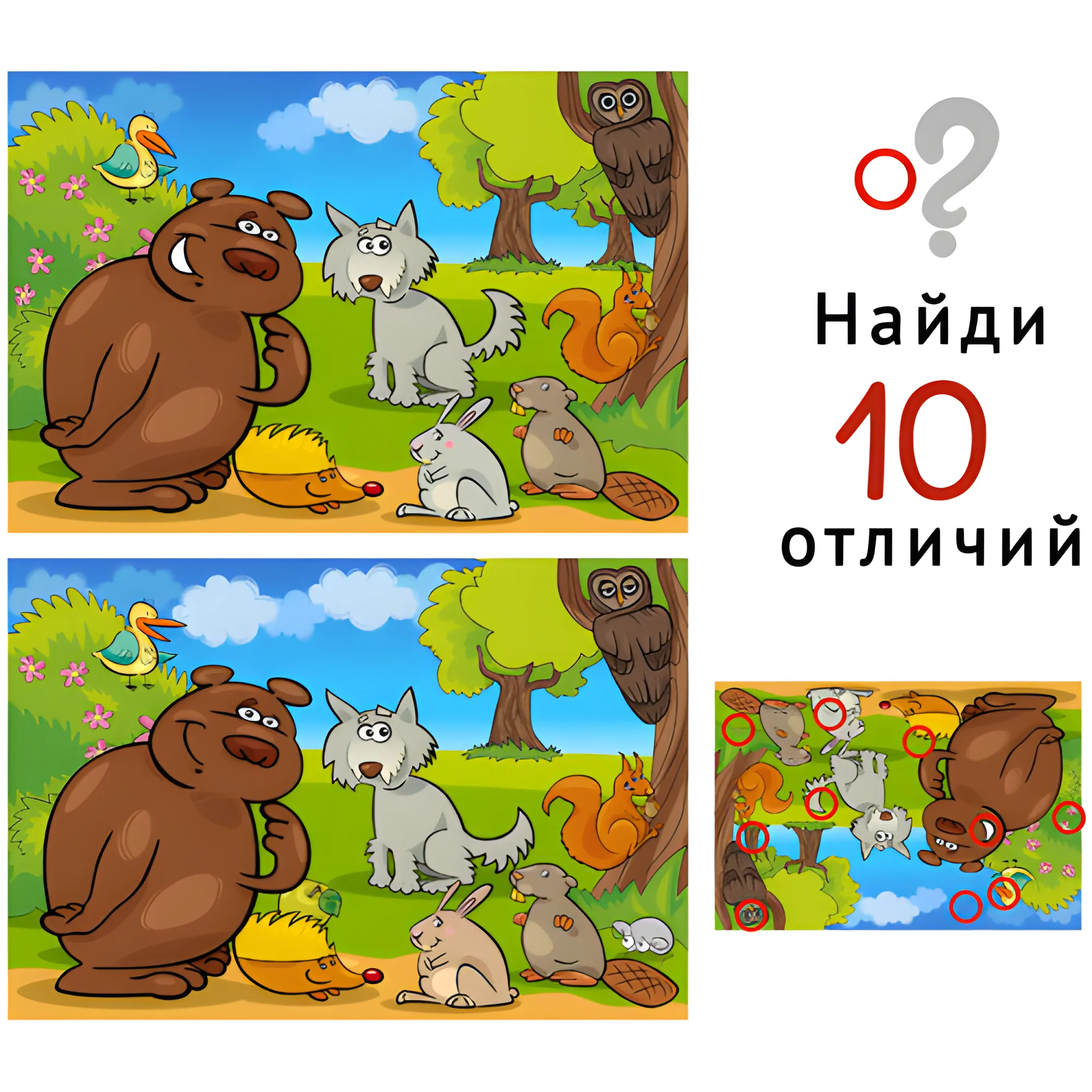 Лесные животные №1796. Задания на логику. Найди отличия, подумай логически.