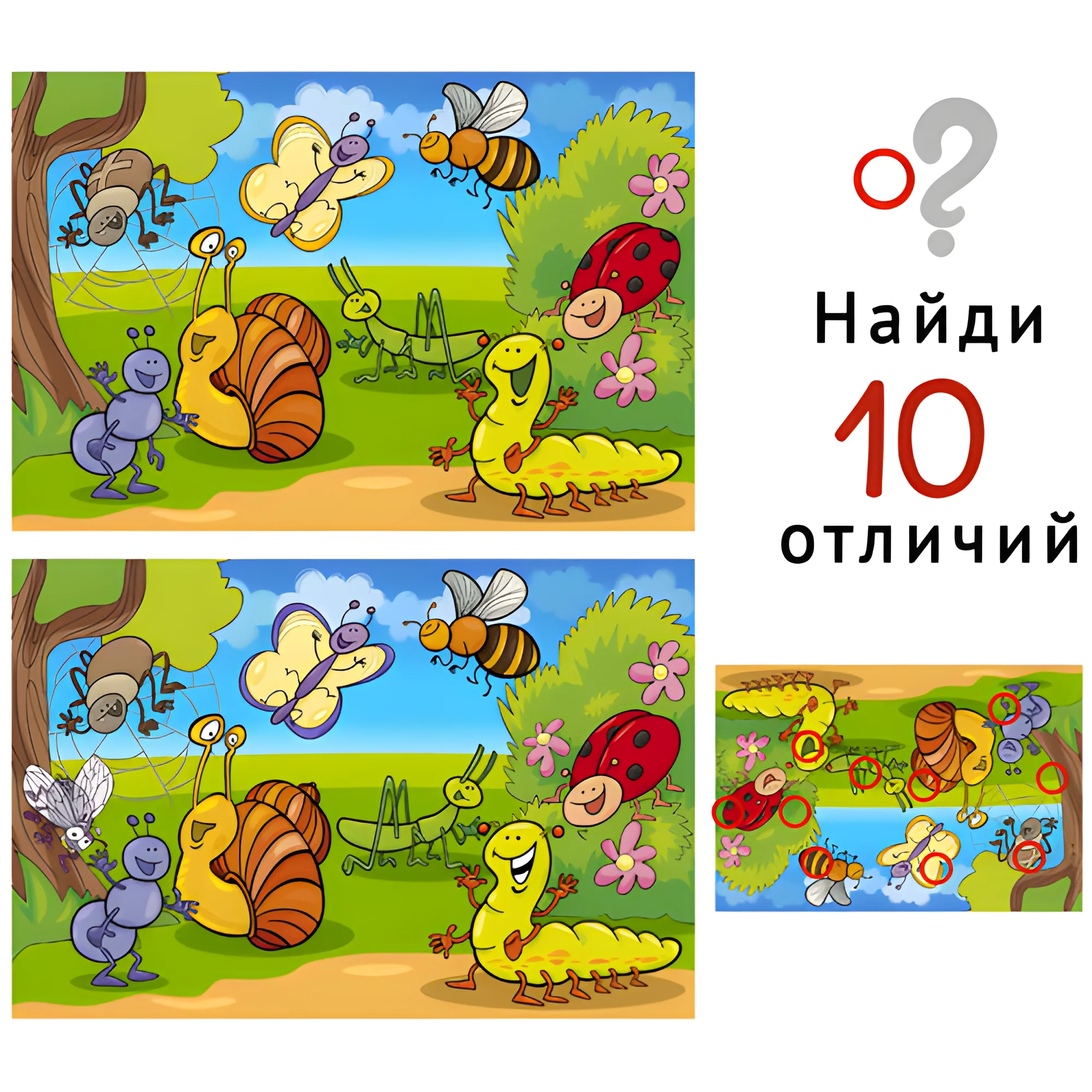 Насекомые №1804. Задания на логику. Найди отличия, подумай логически.