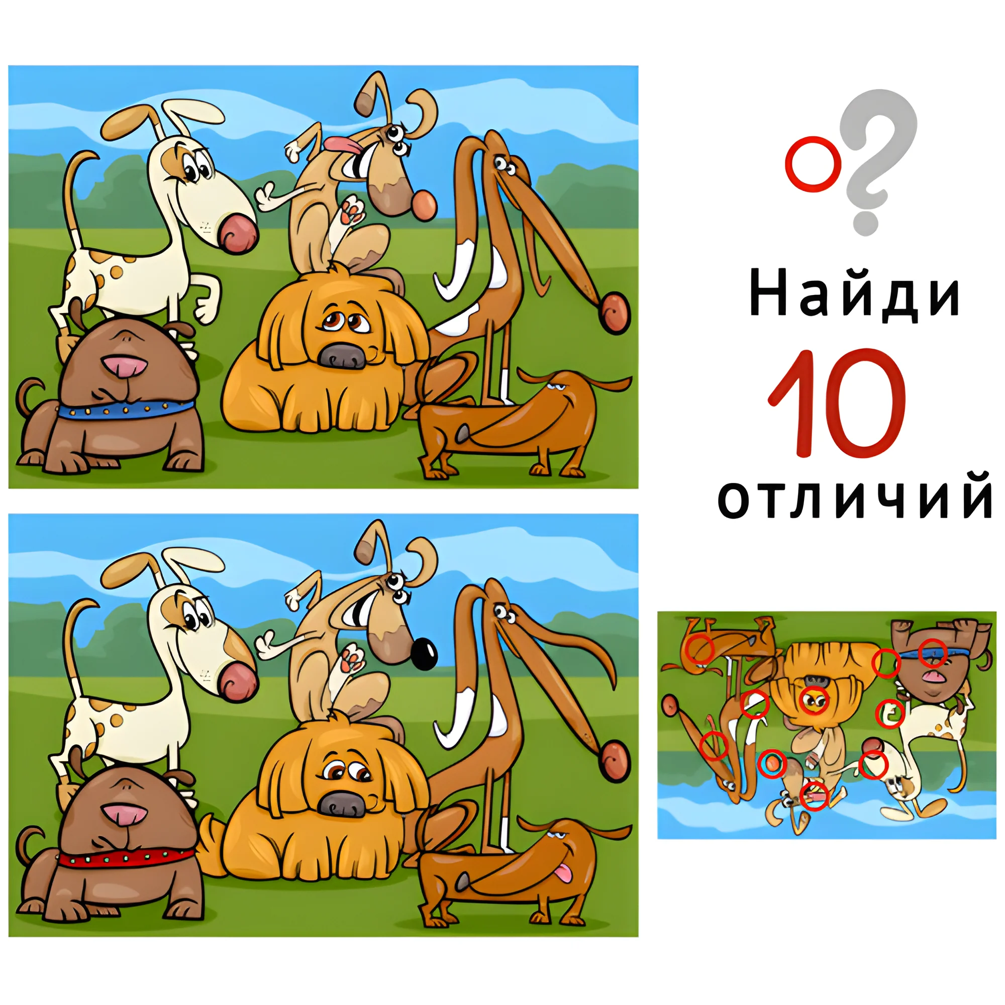 Собаки №1805. Задания на логику. Найди отличия, подумай логически.